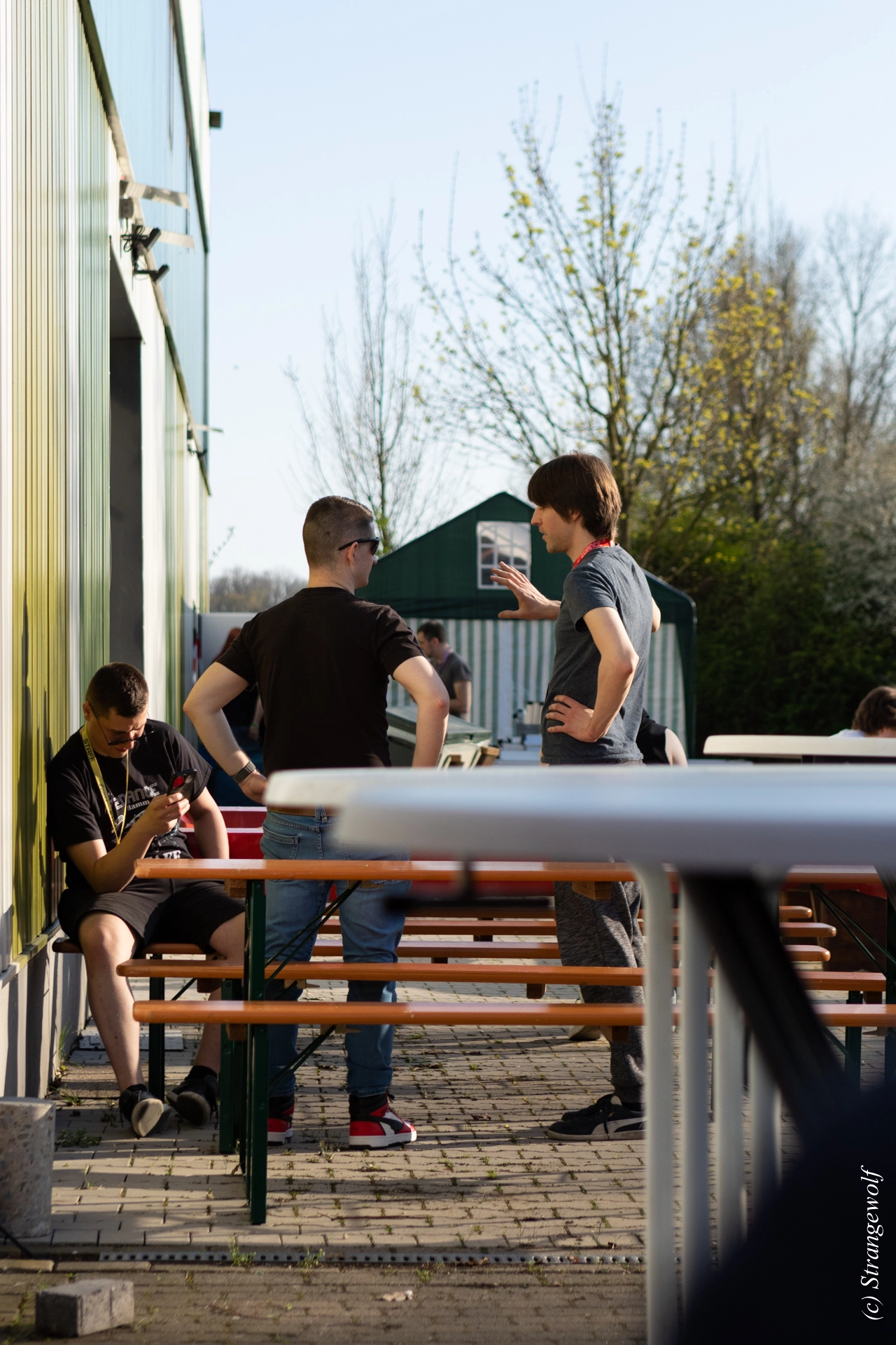 full image 1R3A7516-lr19t.jpg