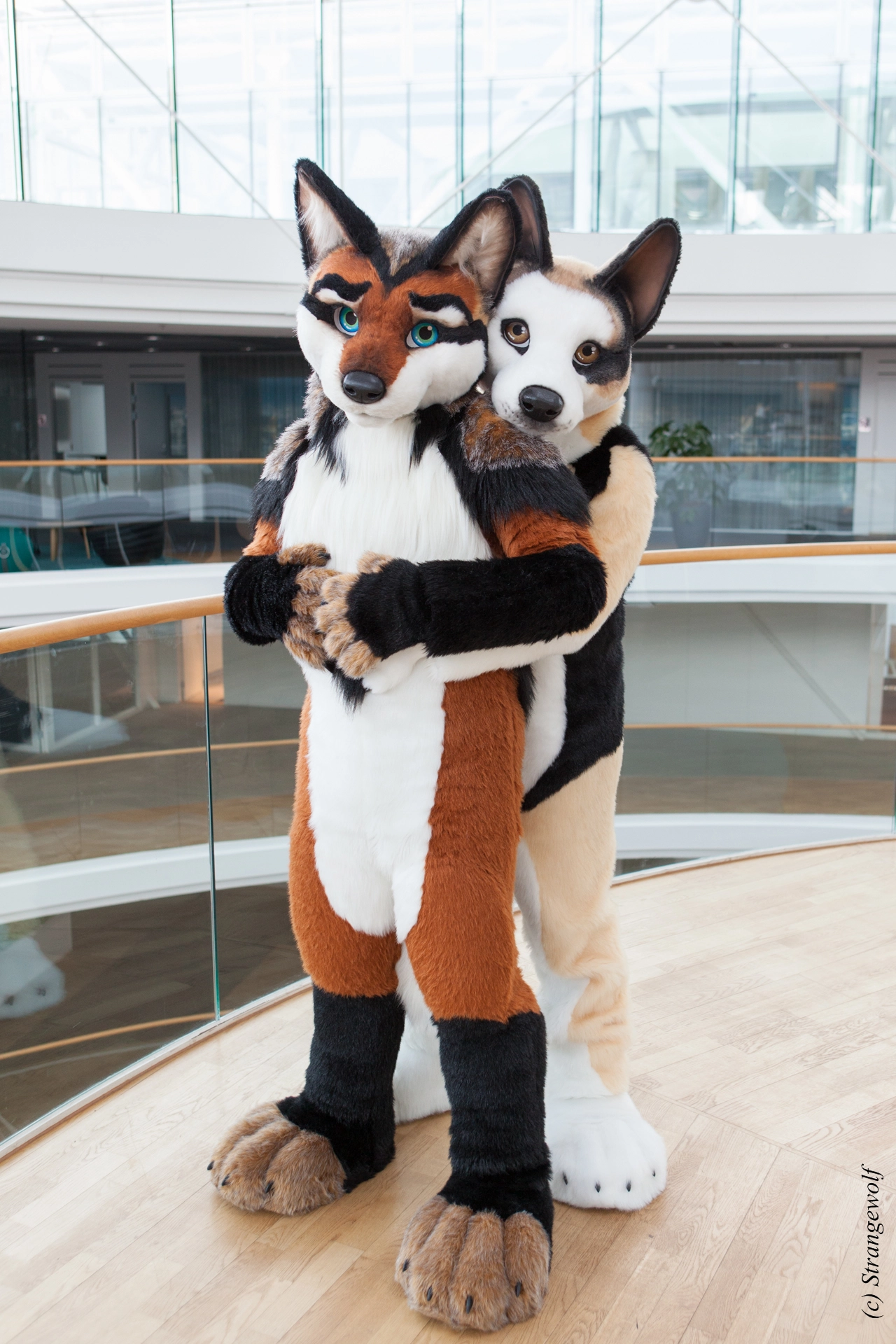 full image IMG_0471-lr19t.jpg