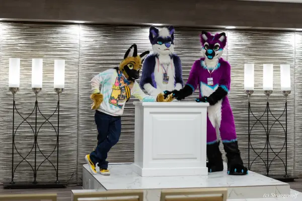 1R3A3234-lr19t.jpg of BLFC/BLFC2023/