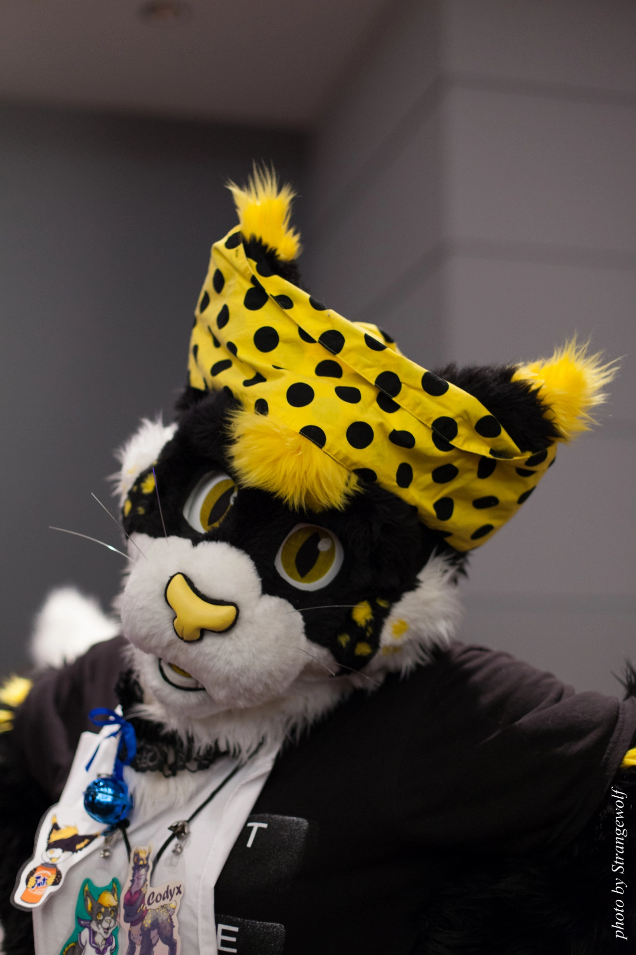 full image IMG_0565-lr19t.jpg