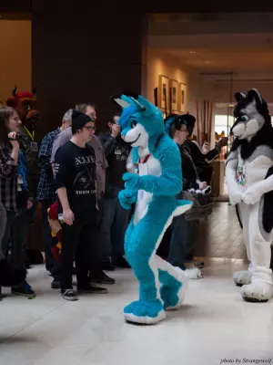 IMG_5983-lr16t.jpg of MFF/MFF2014/