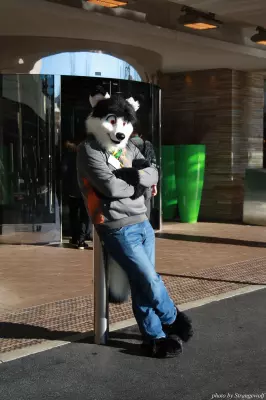 IMG_0907-lr.jpg of MFF/MFF2013/