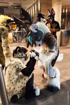IMG_6864-lr19t.jpg of MFF/MFF2018/