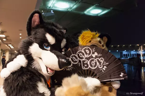 IMG_6849-lr19t.jpg of MFF/MFF2018/
