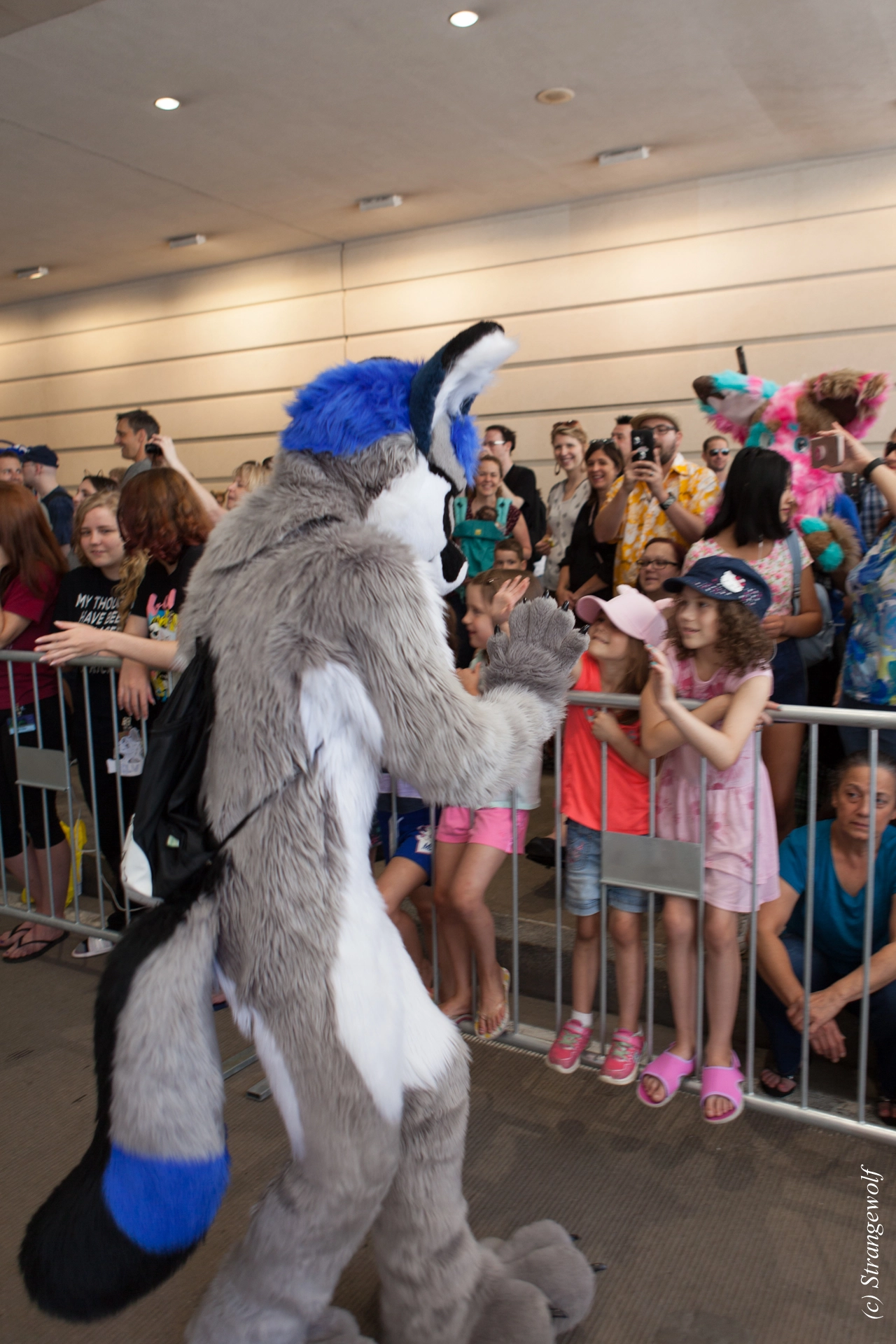 full image IMG_3843-lr19t.jpg