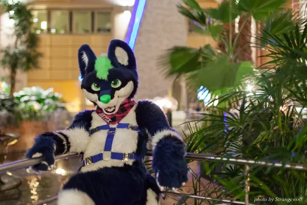 IMG_1872-lr16t.jpg of NFC/NFC2017/