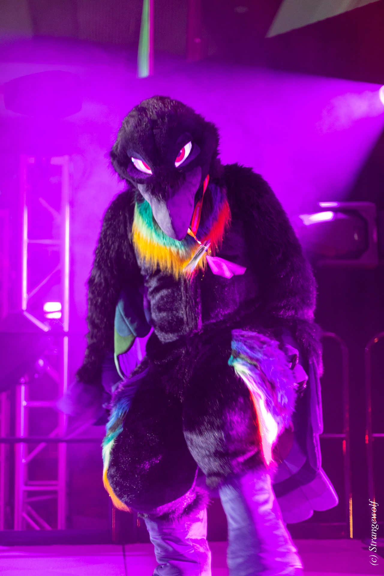 full image 1R3A0675-lr19t.jpg