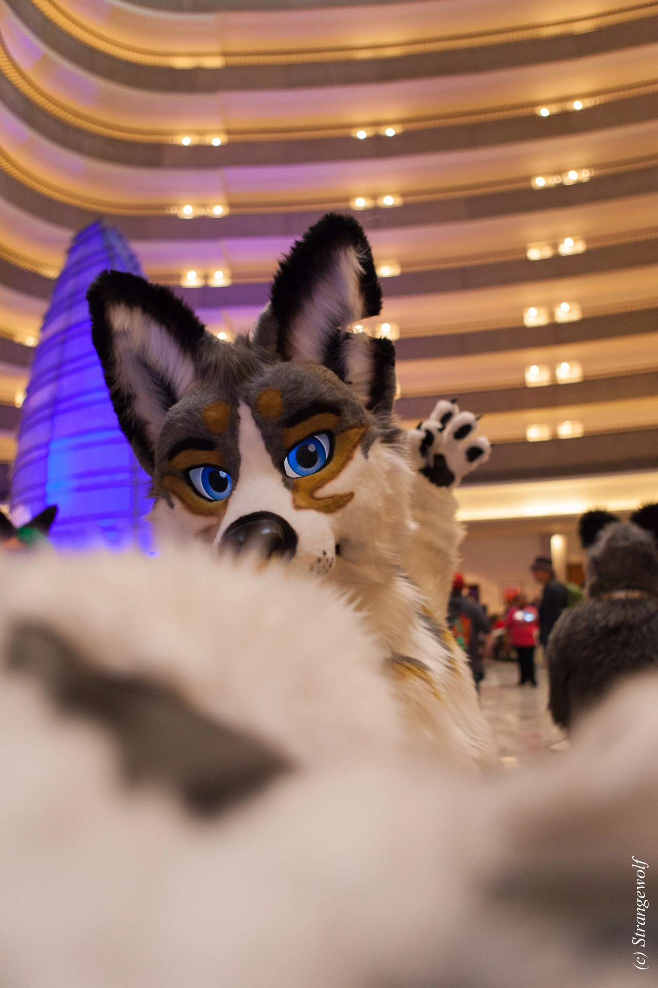 full image IMG_1933-lr19t.jpg