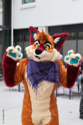 IMG_5069-lr19t.jpg of EF/EF24/