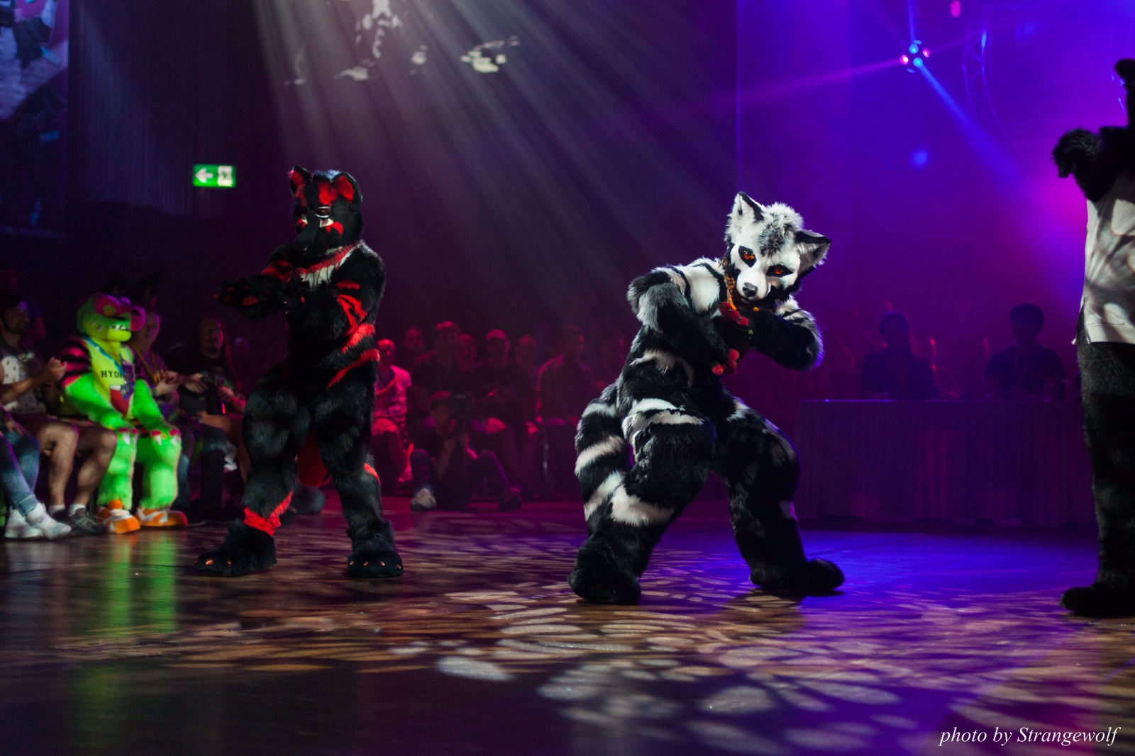 full image IMG_9938-lr16t.jpg