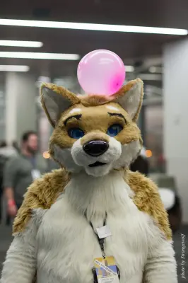 IMG_1197-lr16t.jpg of FC/FC2017/