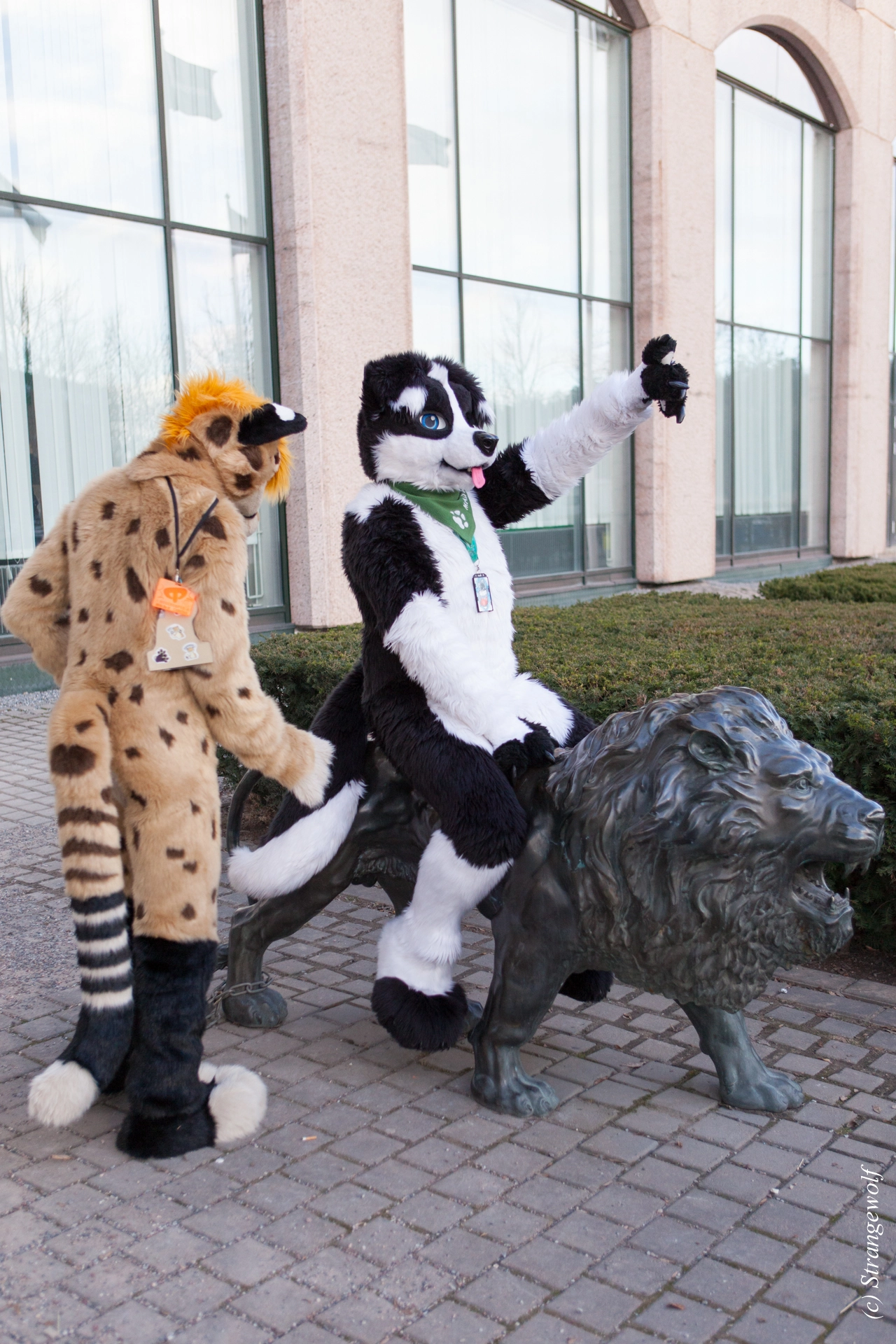 full image IMG_8793-lr19t.jpg