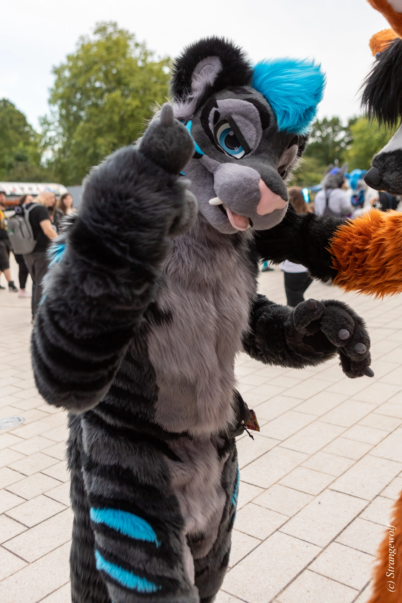 full image 1R3A9088-lr19t.jpg