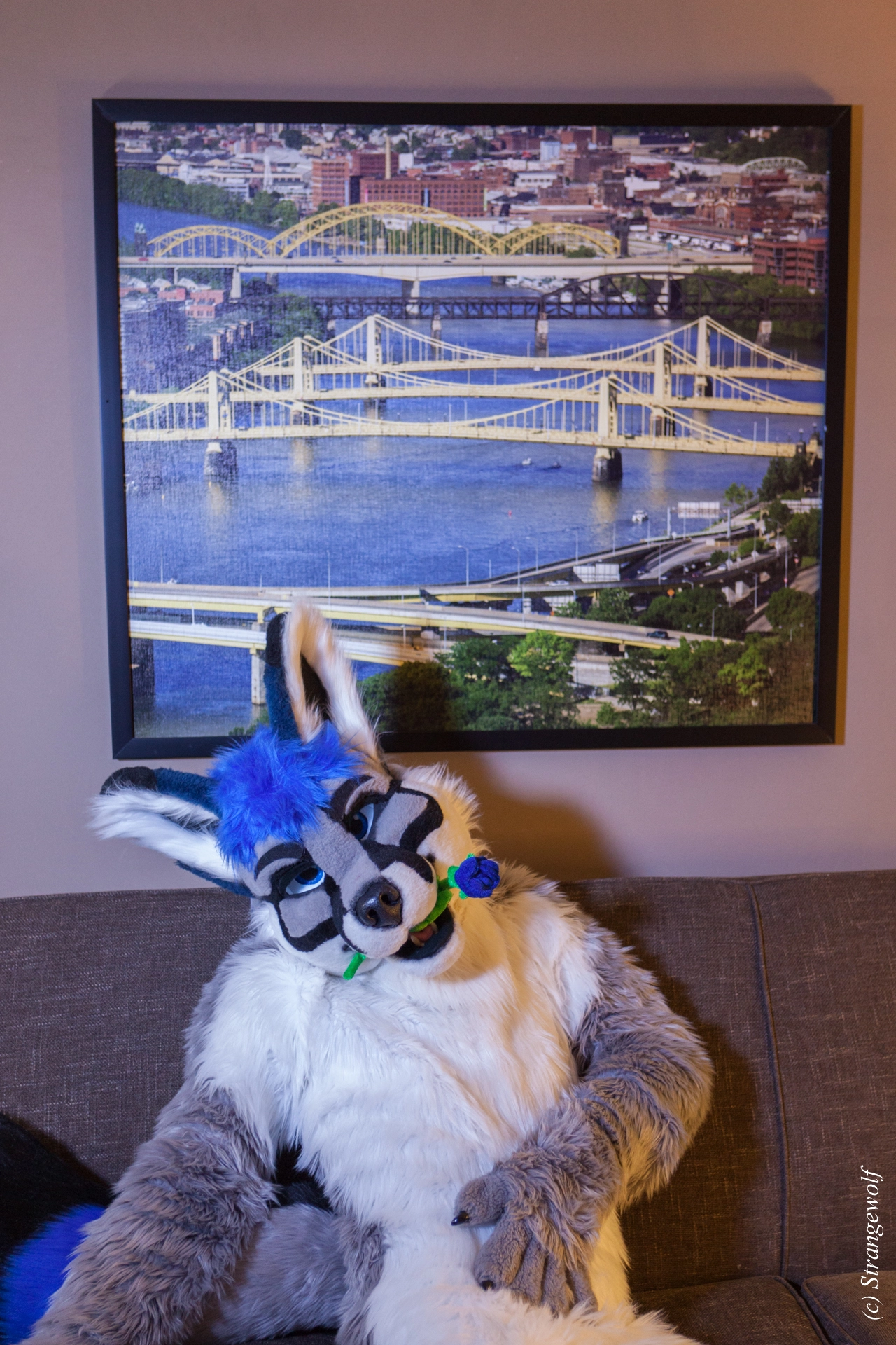 full image IMG_3669-lr19t.jpg