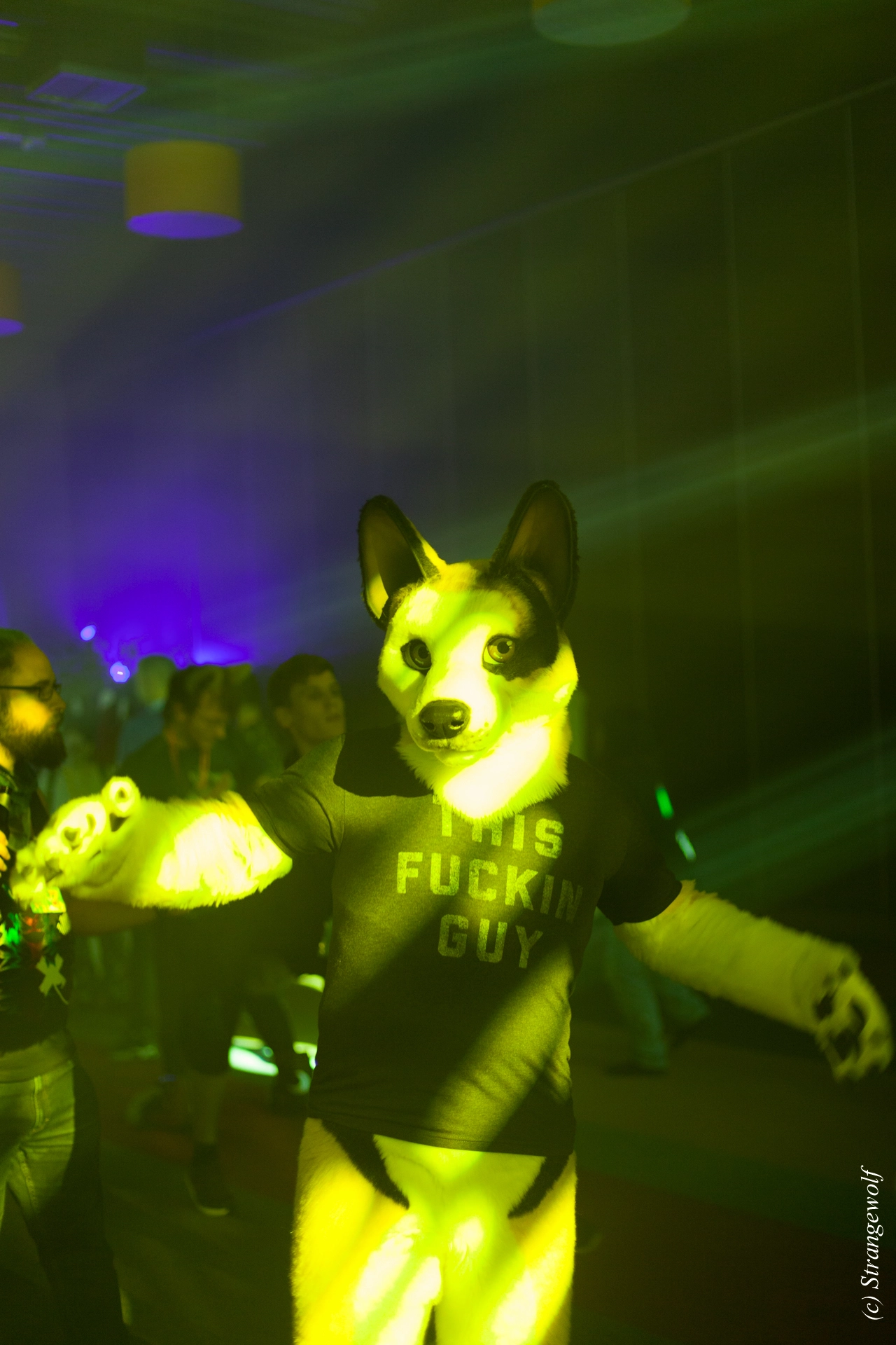 full image IMG_6909-lr19t.jpg