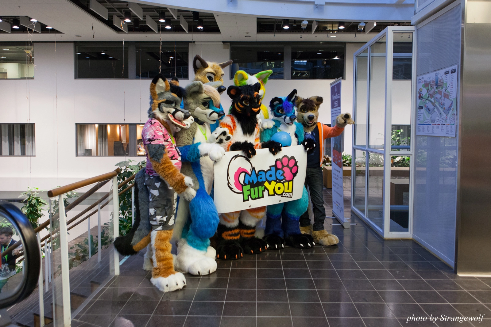 full image IMG_1736-lr16t.jpg