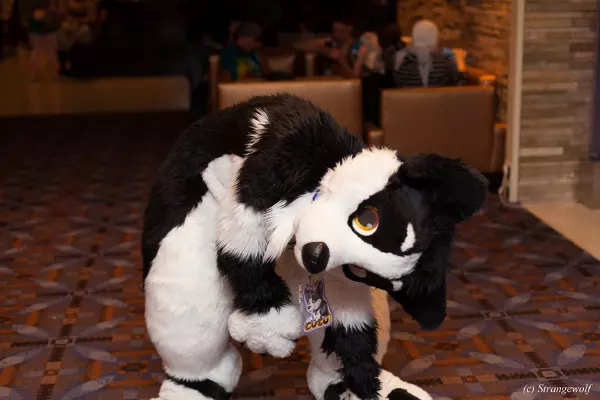 IMG_7348-lr19t.jpg of MFF/MFF2018/