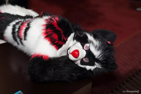 IMG_7066-lr19t.jpg of MFF/MFF2018/