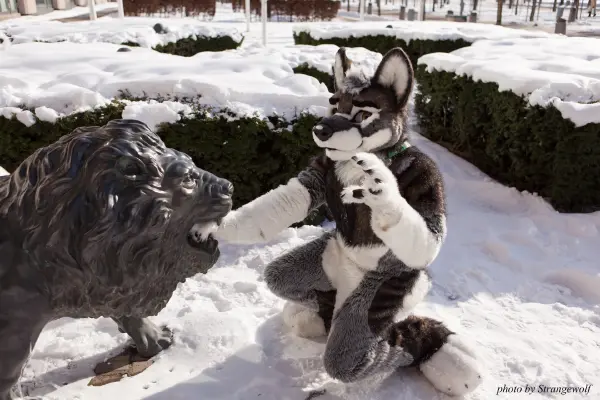 IMG_9597-lr19t.jpg of NFC/NFC2018/