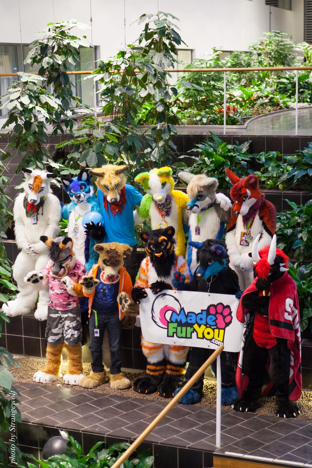 full image IMG_1671-lr16t.jpg