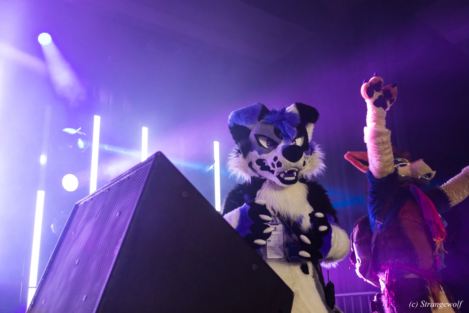 full image 1R3A5390-lr19t.jpg