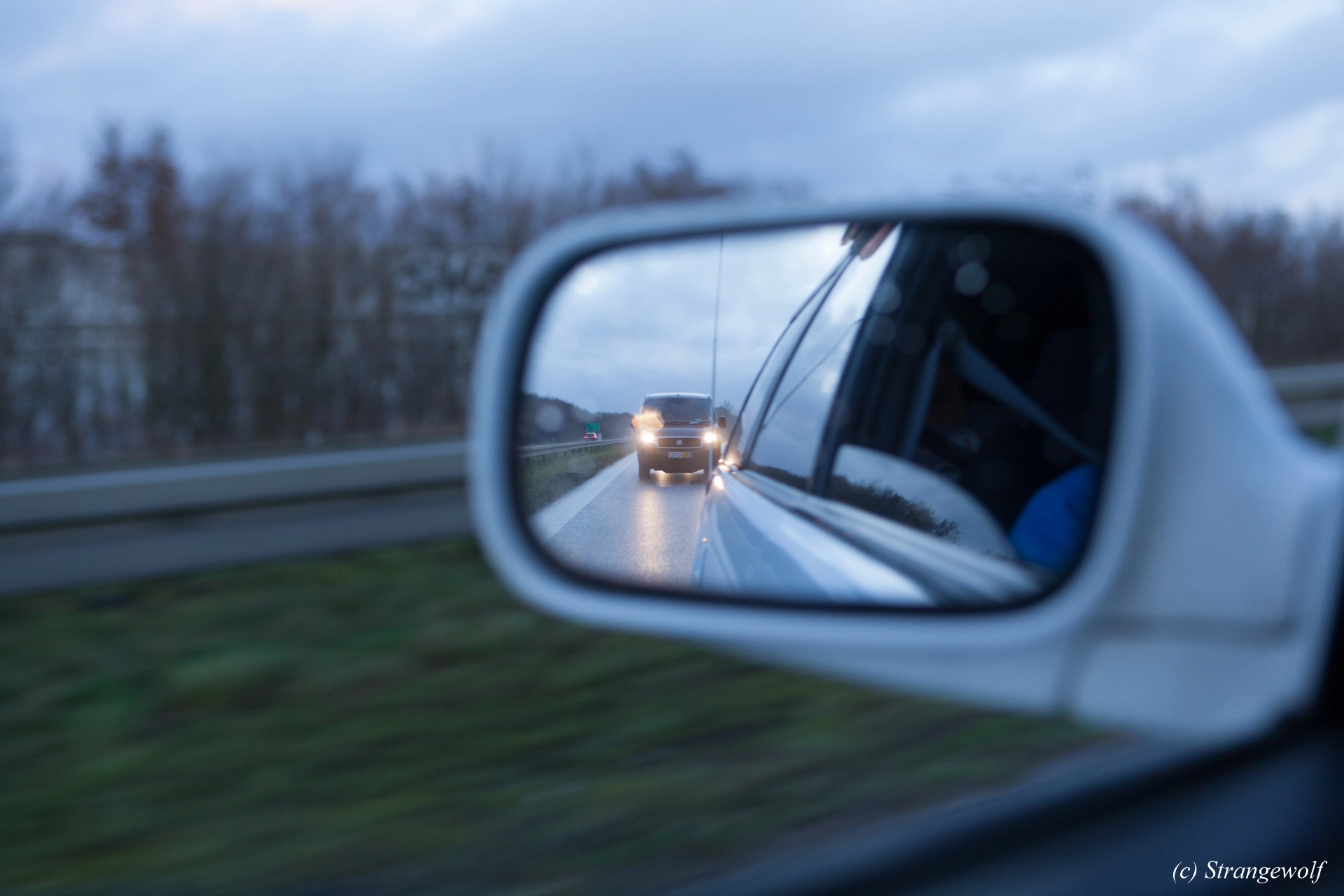 full image IMG_8216-lr19t.jpg