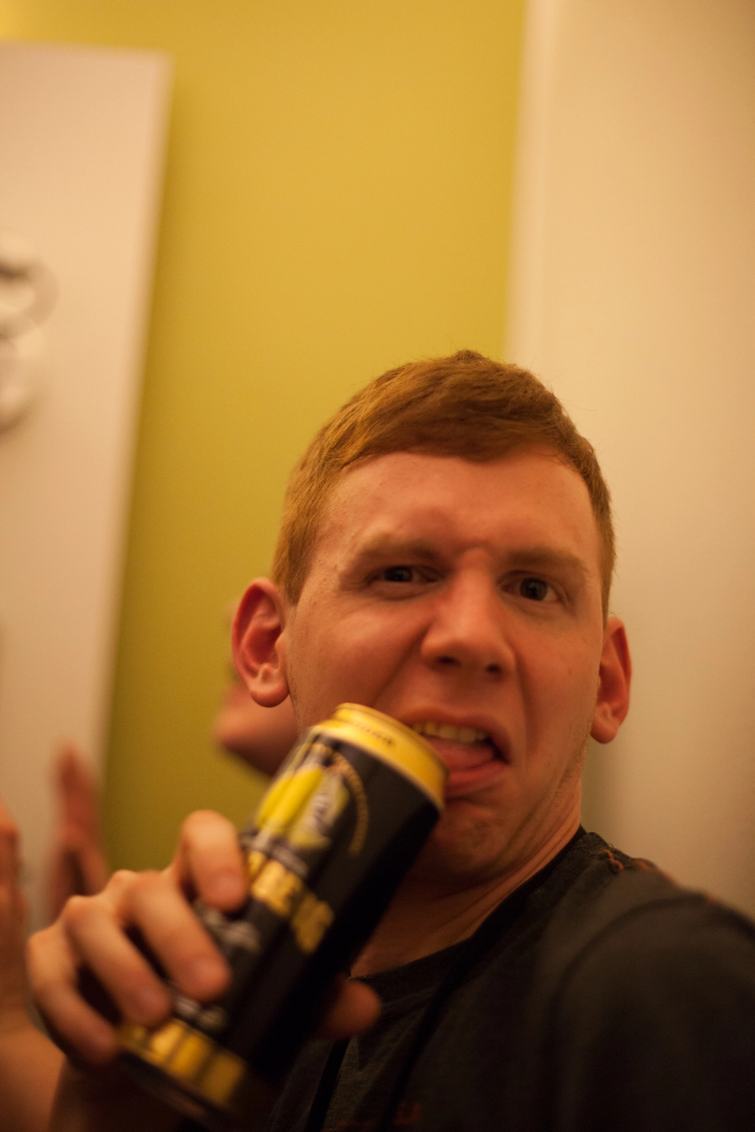 full image IMG_1476-lr16t.jpg