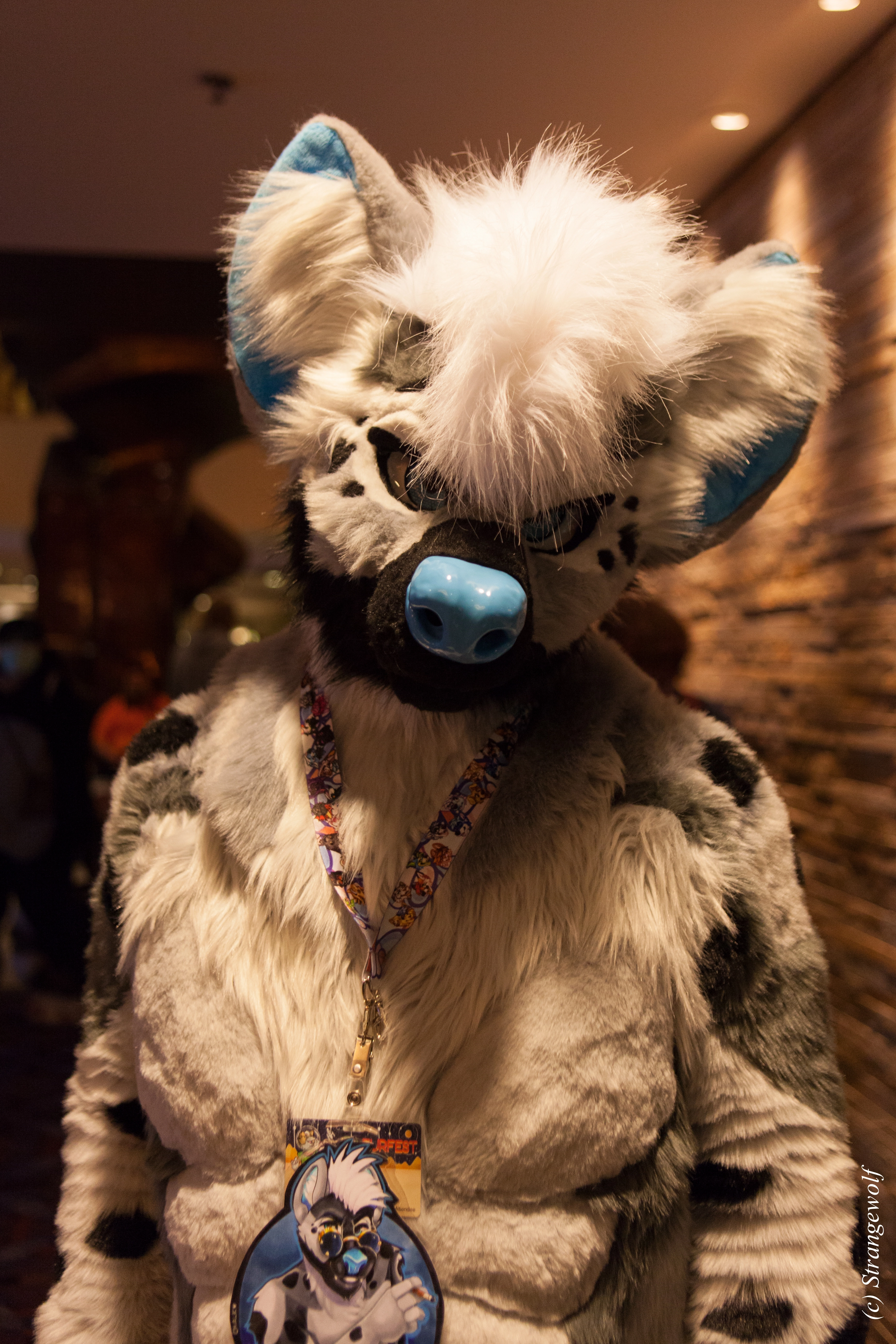 full image IMG_1561-lr.jpg