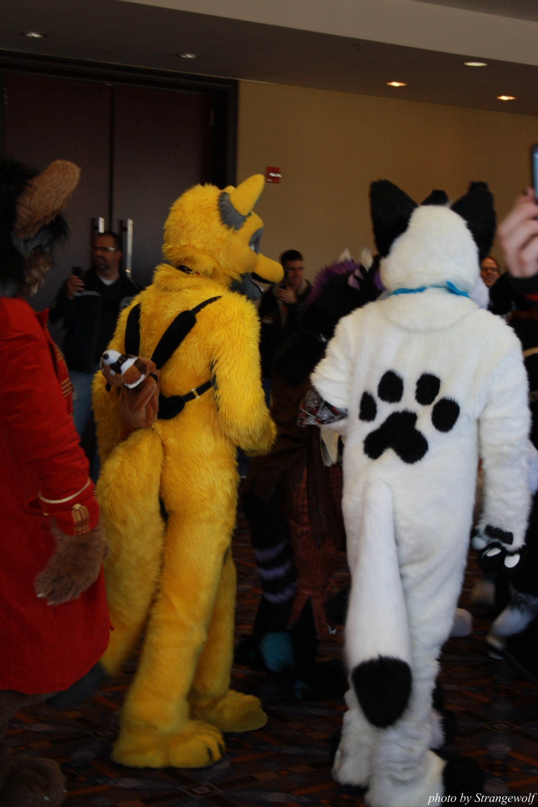 full image IMG_0502-lr.jpg