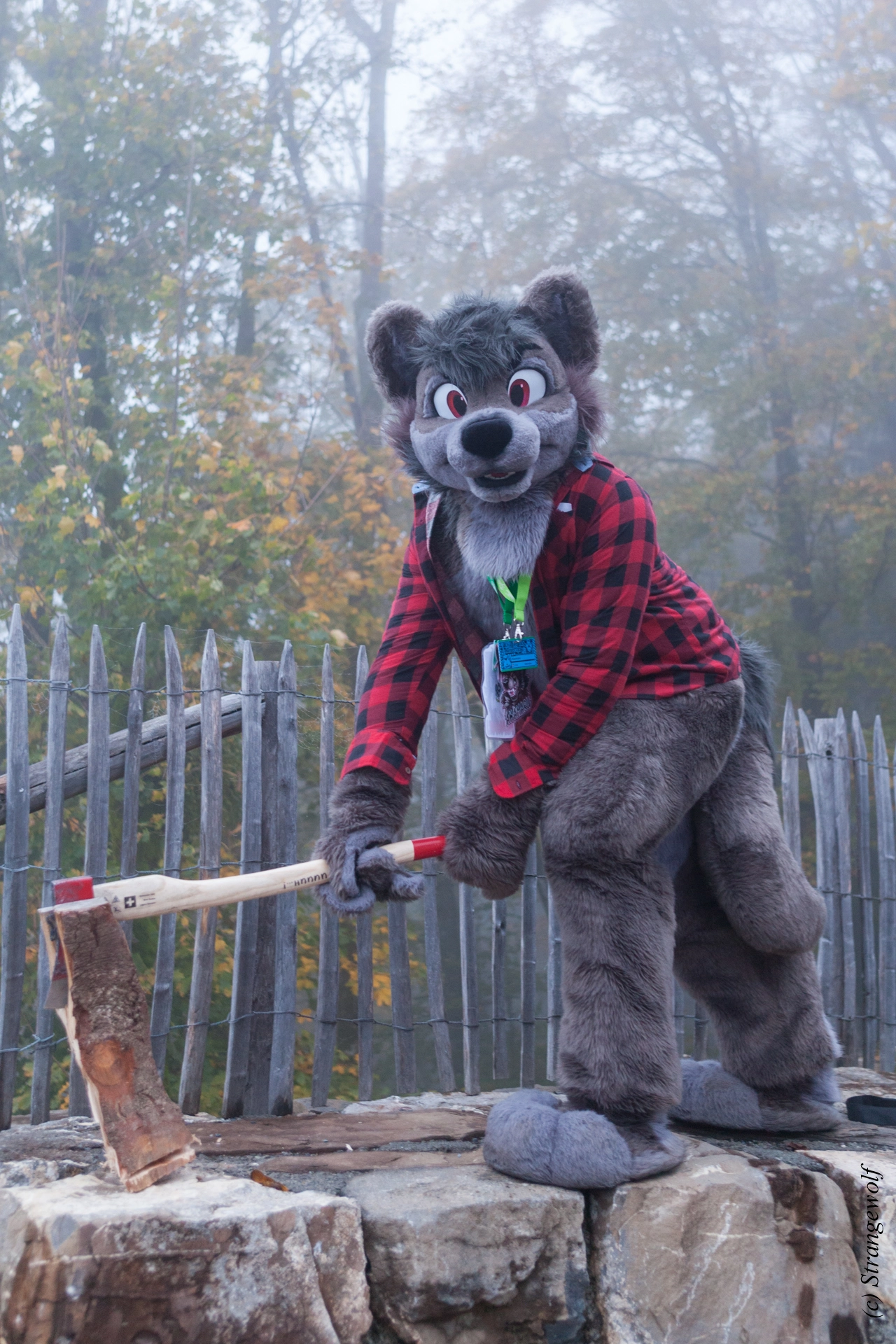 full image IMG_7075-lr19t.jpg