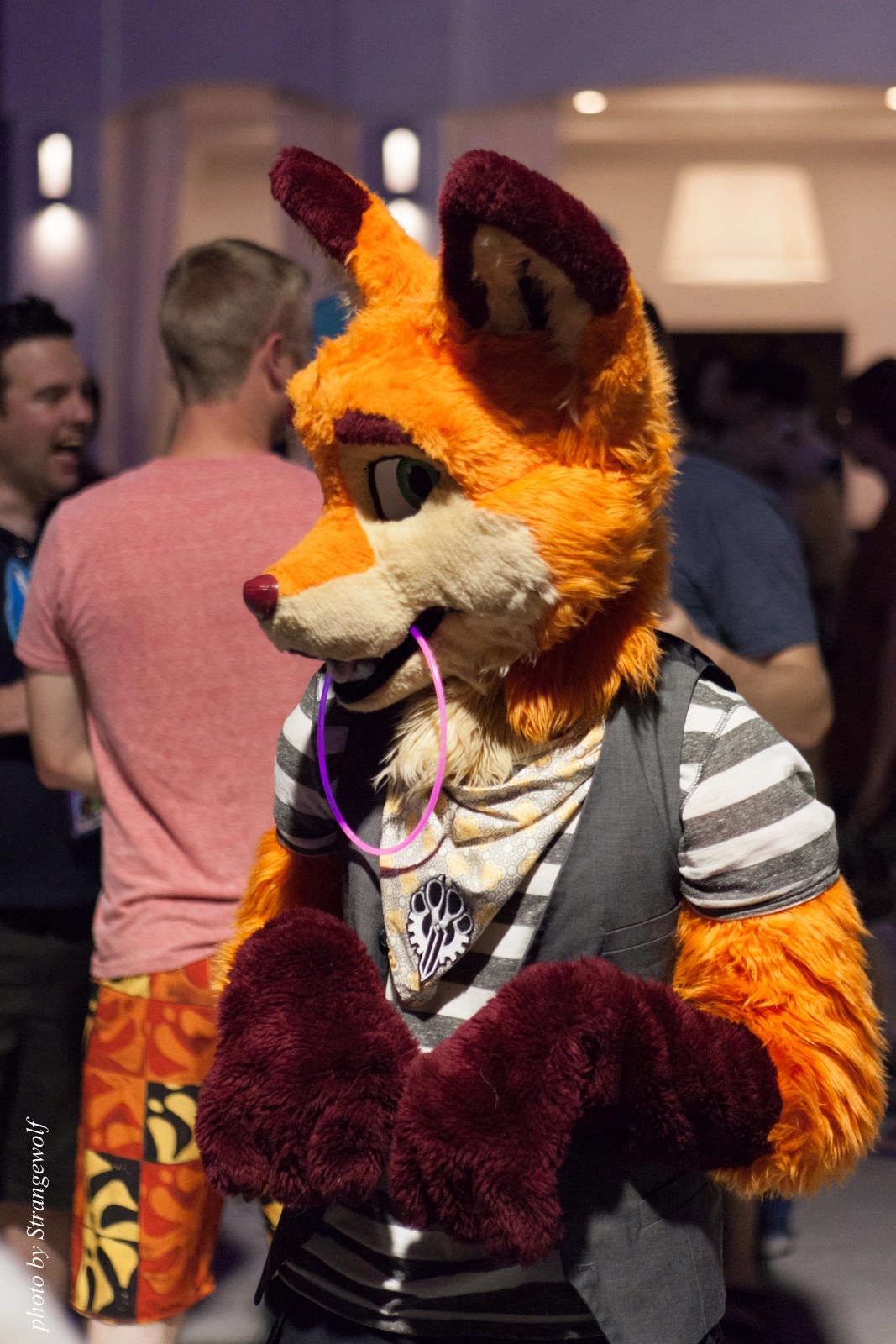 full image IMG_8626-lr16t.jpg