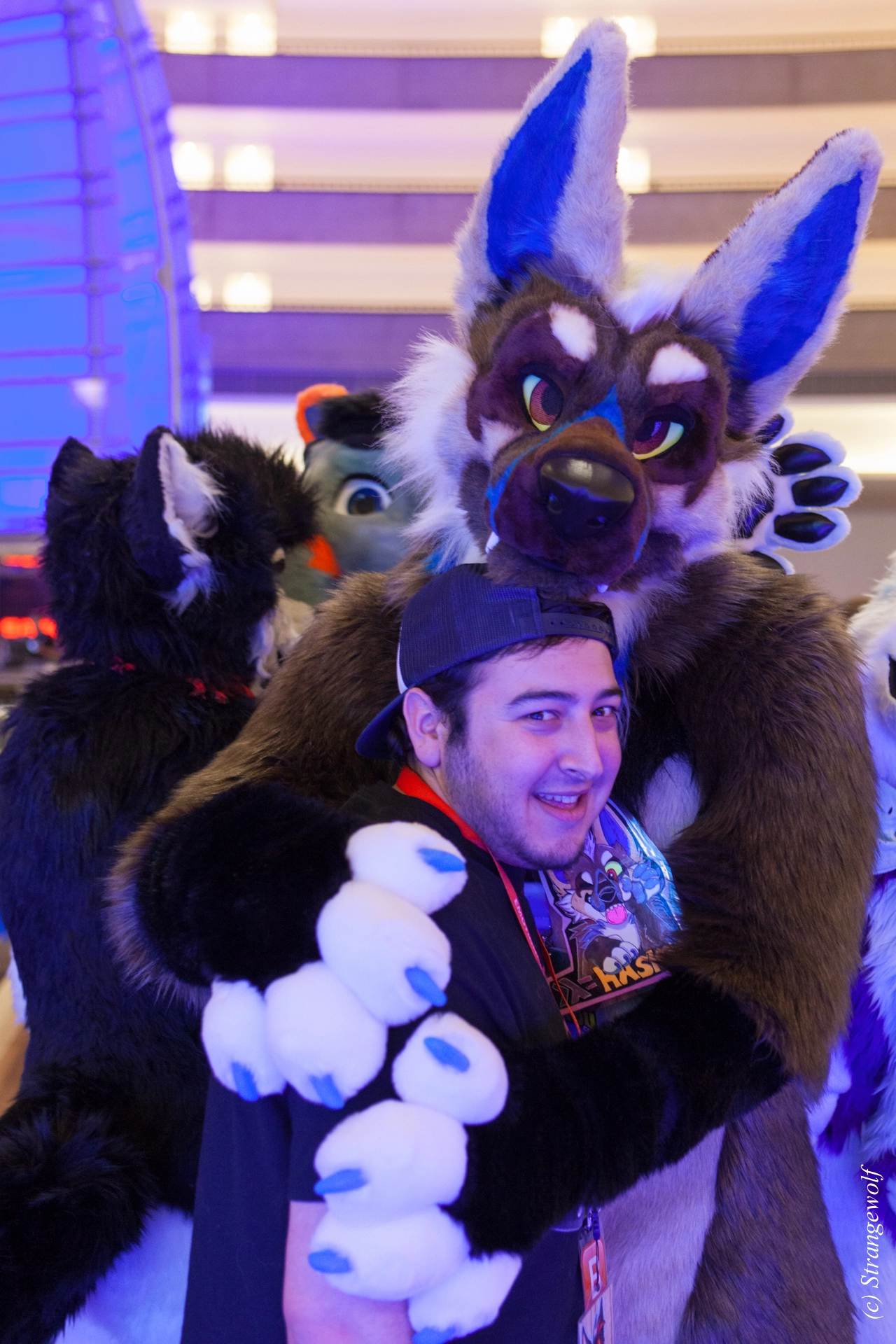 full image IMG_1307-lr19t.jpg