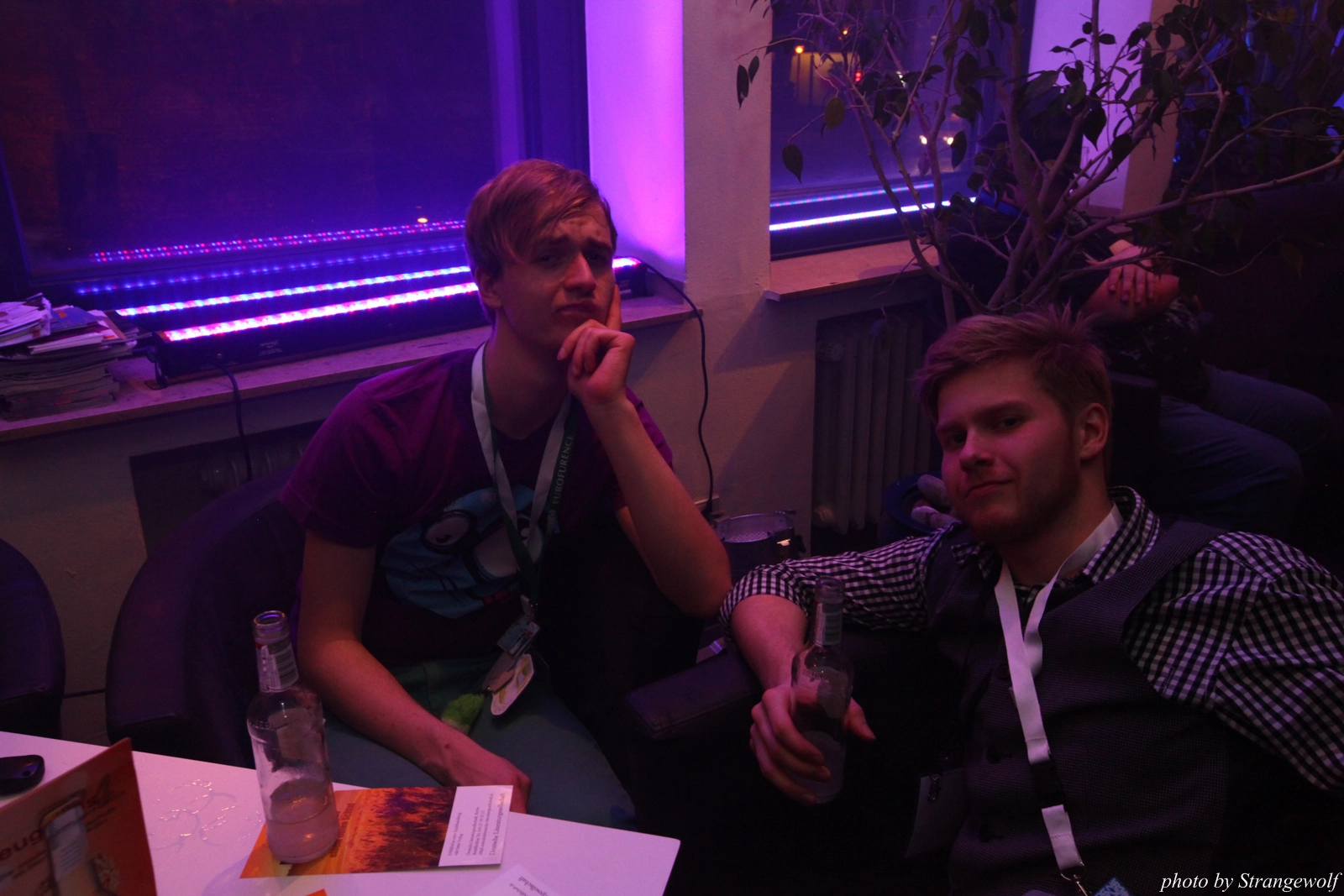 full image IMG_7529-lr16t.jpg