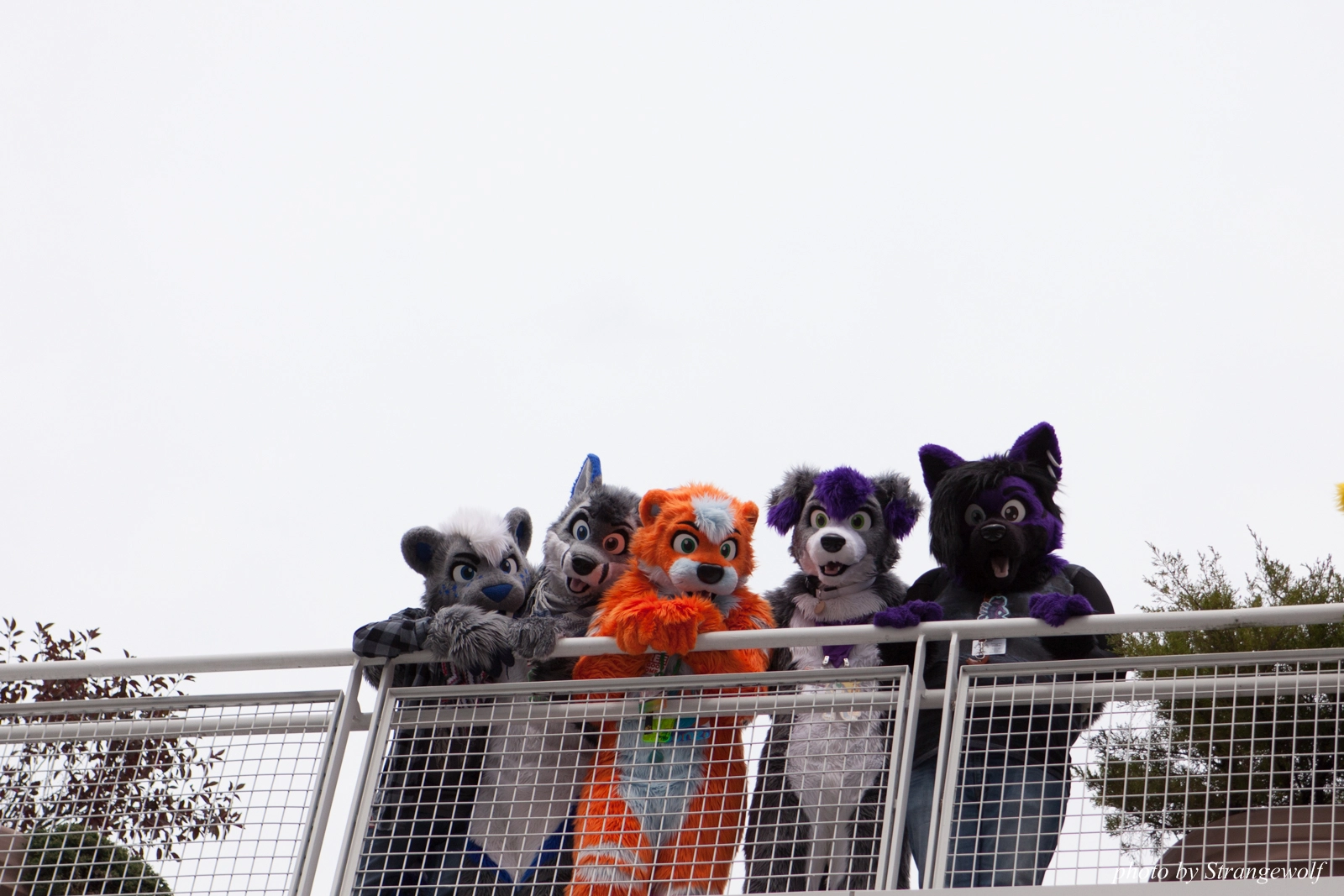 full image IMG_8205-lr16t.jpg