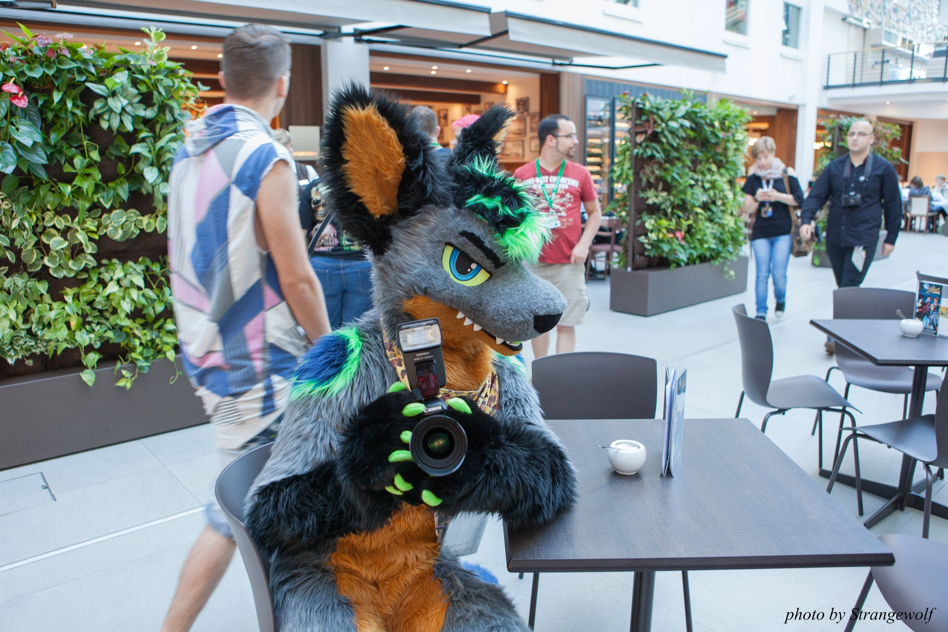 full image IMG_6995-lr19t.jpg