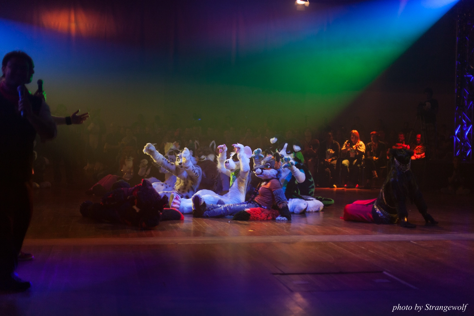 full image IMG_2969-lr16t.jpg