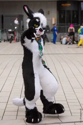 1R3A9174-lr19t.jpg of EF/EF29/