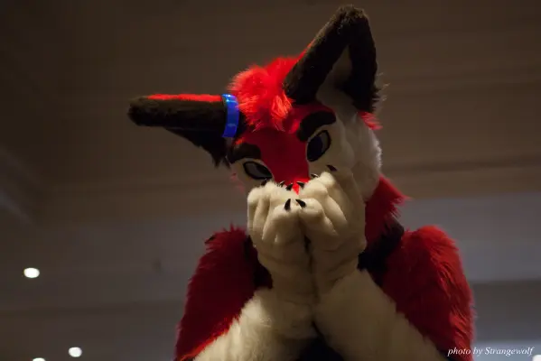 IMG_7417-lr16t.jpg of CFZ/CFZ2016/