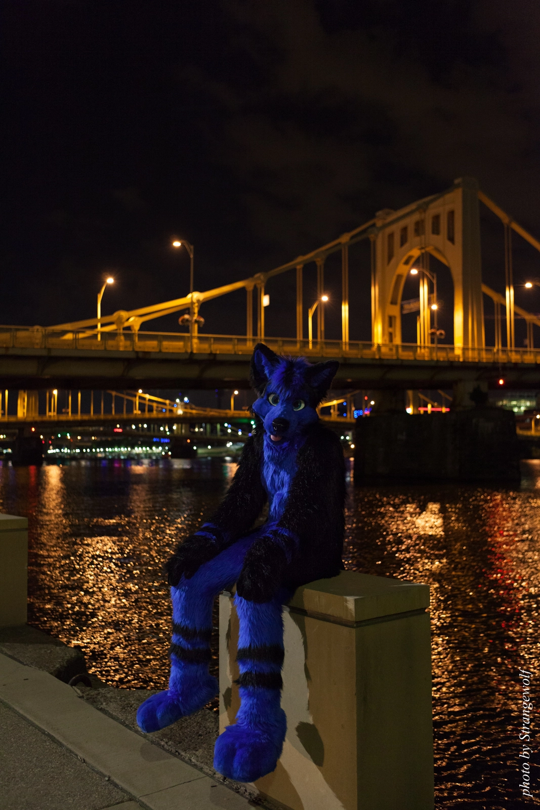 full image IMG_8531-lr16t.jpg