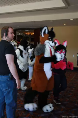 IMG_0575-lr.jpg of MFF/MFF2013/