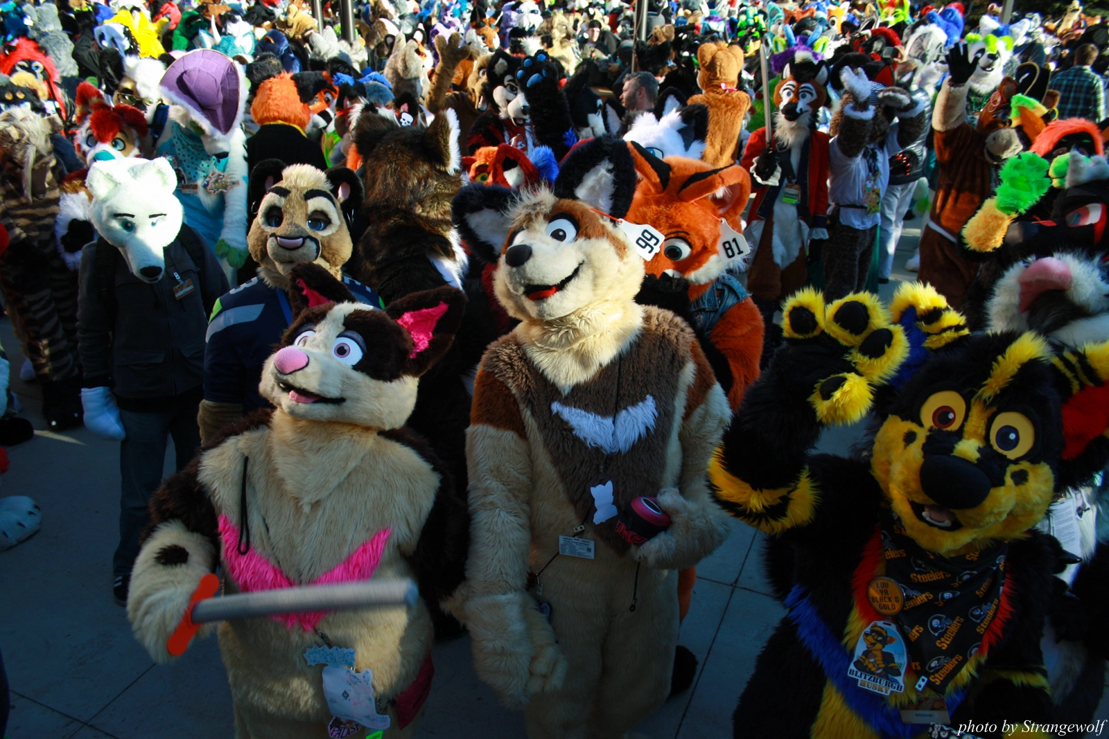 full image IMG_0674-lr.jpg