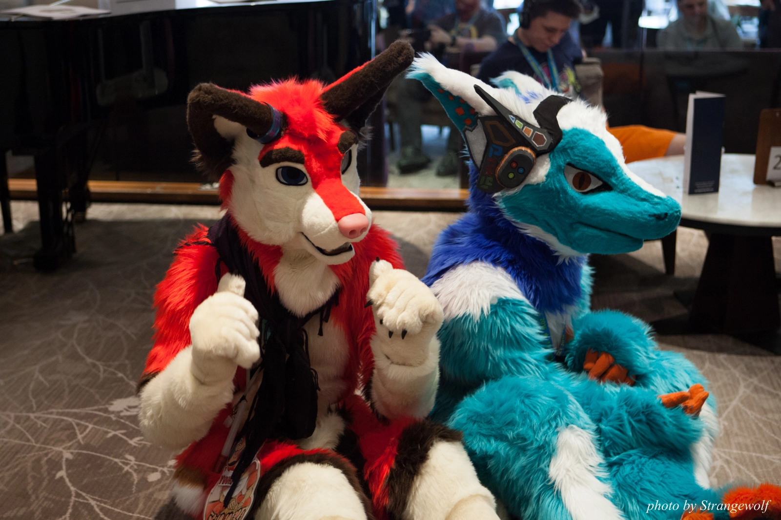 full image IMG_7432-lr16t.jpg