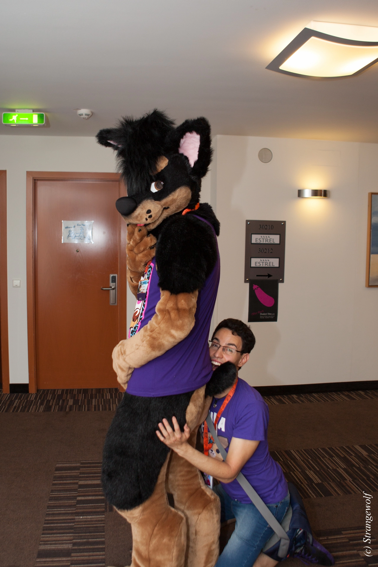 full image IMG_4783-lr19t.jpg