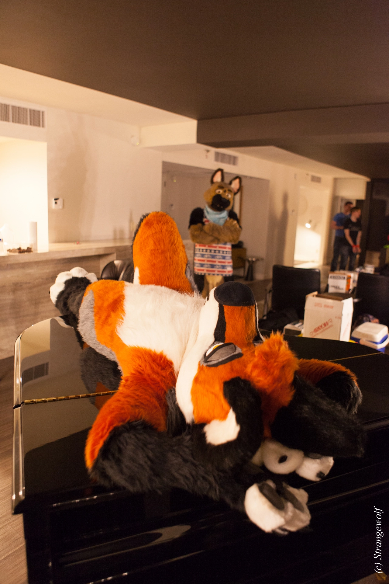 full image IMG_2254-lr19t.jpg