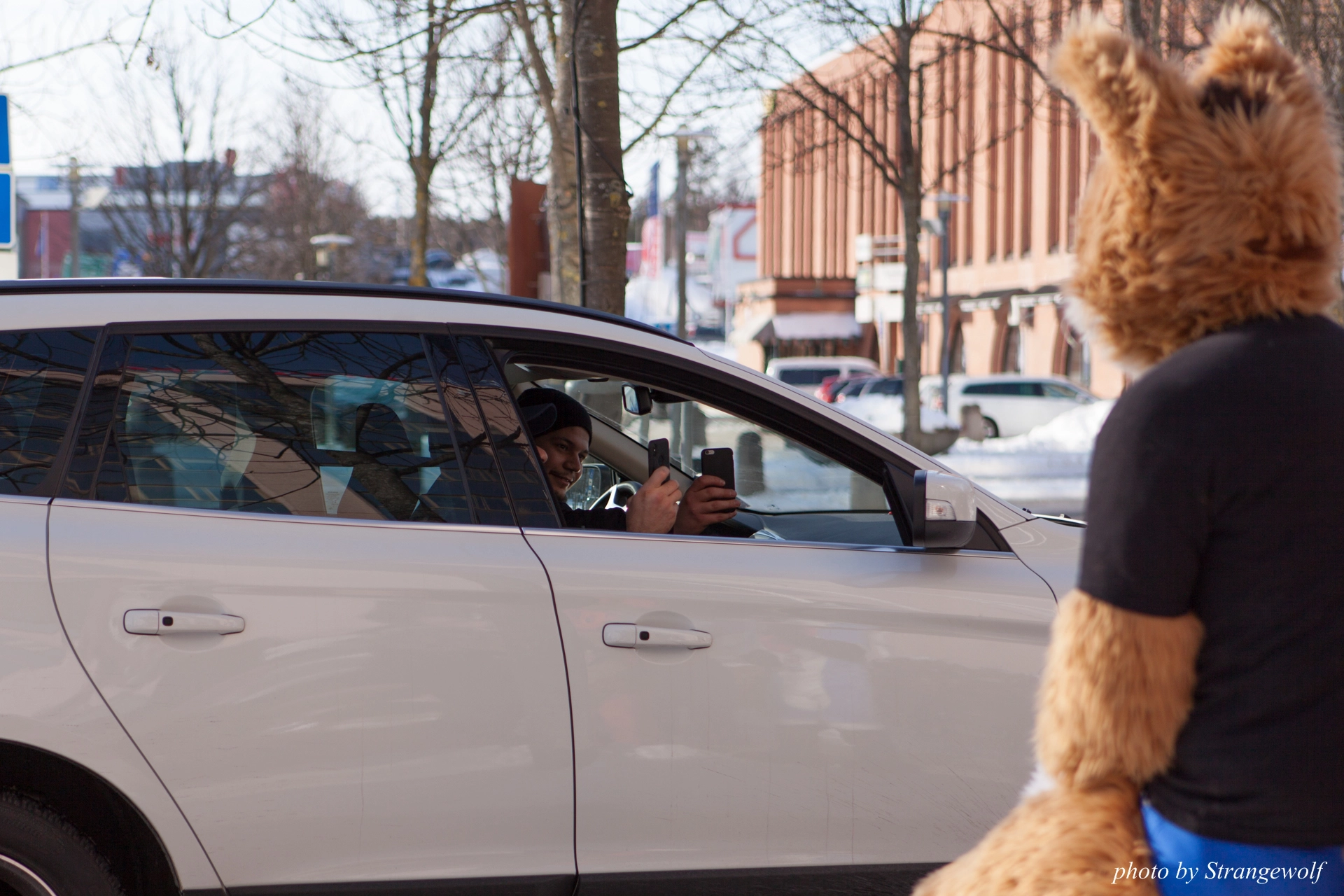 full image IMG_9614-lr19t.jpg