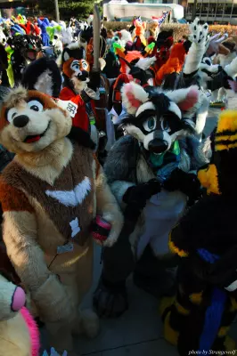 IMG_0677-lr.jpg of MFF/MFF2013/