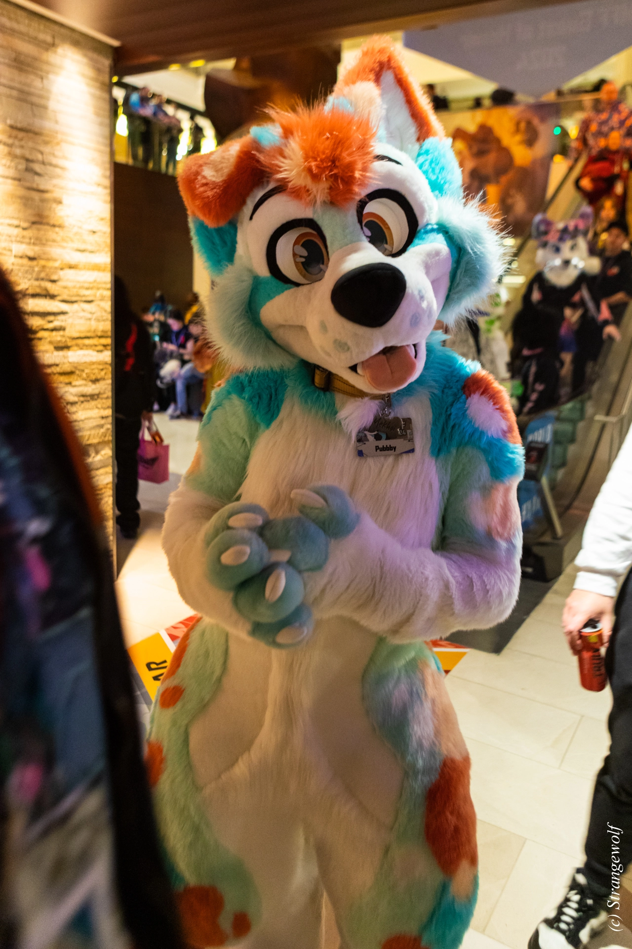 full image 1R3A6500-lr19t.jpg