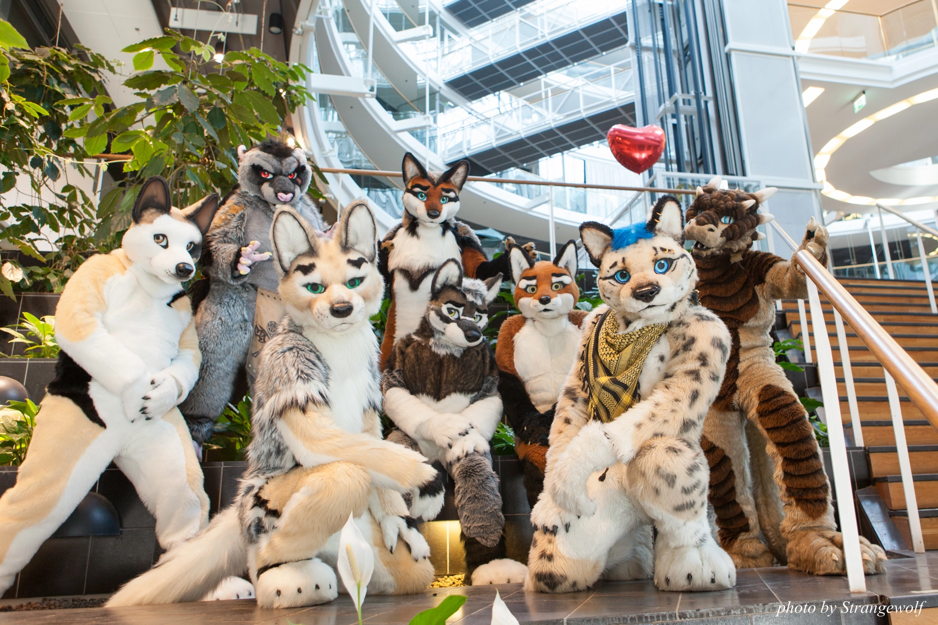 full image IMG_0413-lr19t.jpg