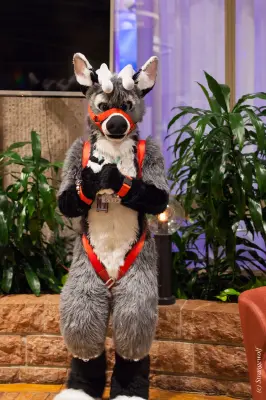 IMG_9250-lr19t.jpg of NFC/NFC2019/