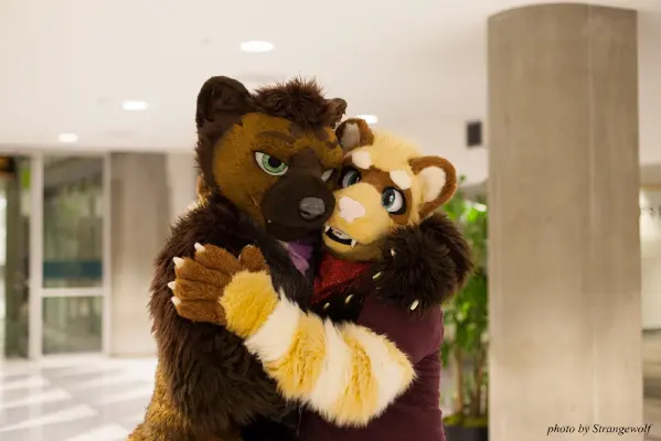 IMG_1107-lr16t.jpg of FC/FC2017/